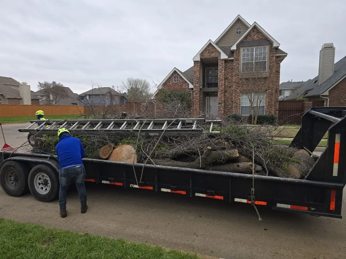Expert Tree Fertilization with proper safety equipment in Booth